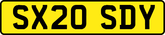SX20SDY