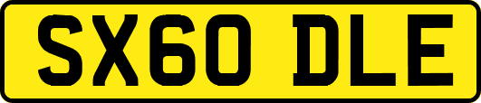 SX60DLE