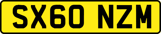 SX60NZM