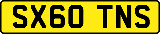 SX60TNS