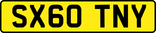 SX60TNY