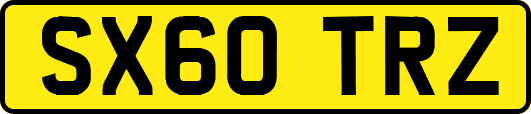 SX60TRZ