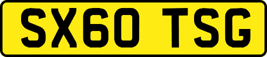 SX60TSG