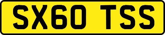 SX60TSS