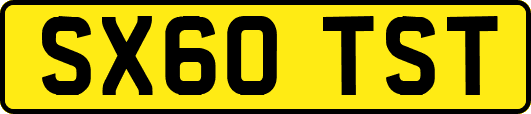 SX60TST