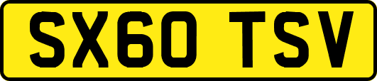 SX60TSV