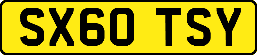SX60TSY