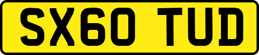 SX60TUD