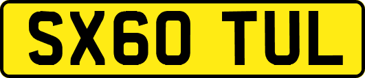 SX60TUL