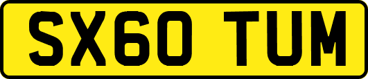 SX60TUM