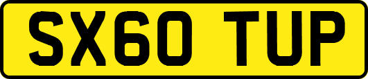 SX60TUP