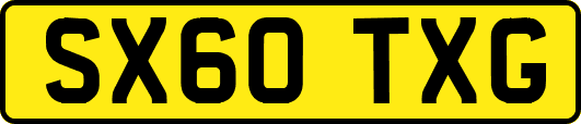 SX60TXG