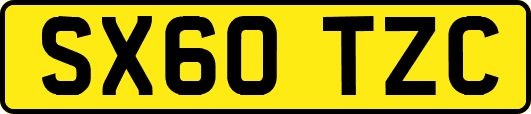 SX60TZC