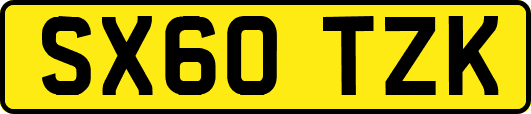 SX60TZK
