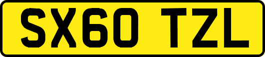 SX60TZL