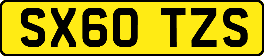 SX60TZS