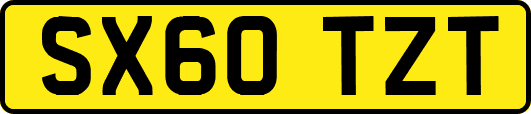 SX60TZT