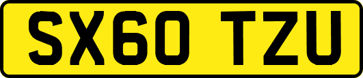 SX60TZU