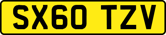SX60TZV