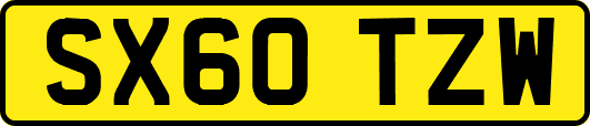 SX60TZW