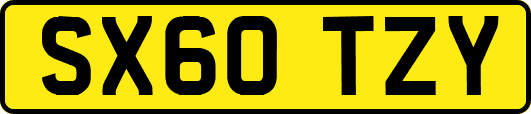 SX60TZY