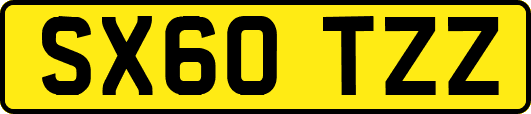 SX60TZZ