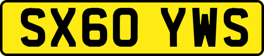 SX60YWS