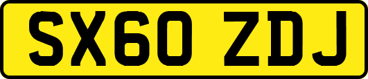SX60ZDJ