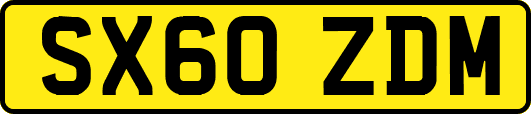 SX60ZDM
