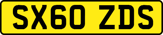 SX60ZDS