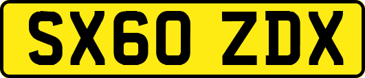 SX60ZDX