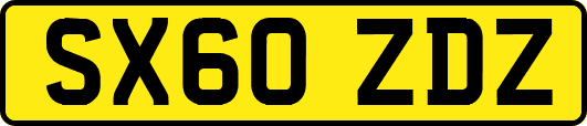SX60ZDZ