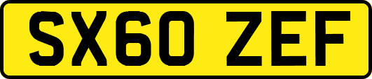 SX60ZEF