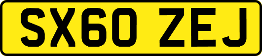 SX60ZEJ