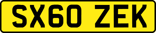 SX60ZEK