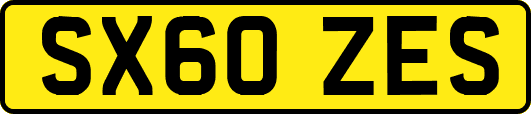 SX60ZES