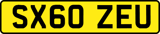 SX60ZEU