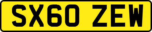 SX60ZEW