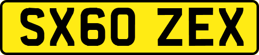 SX60ZEX