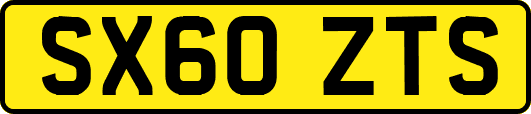 SX60ZTS