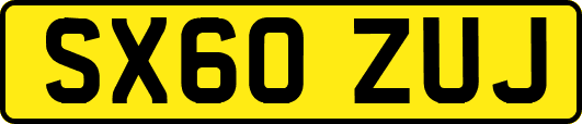 SX60ZUJ