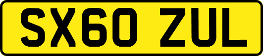 SX60ZUL