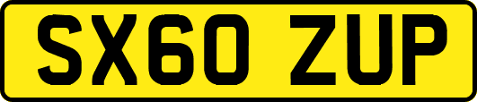 SX60ZUP