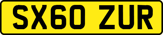 SX60ZUR