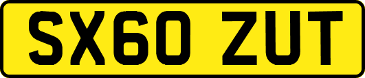 SX60ZUT