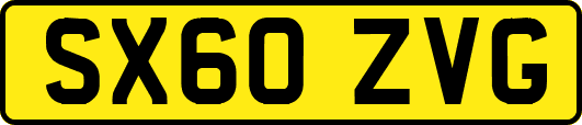 SX60ZVG