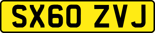 SX60ZVJ