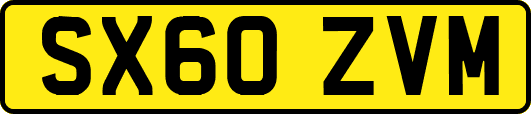 SX60ZVM