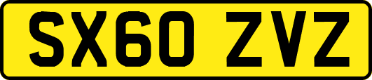 SX60ZVZ