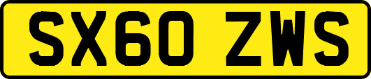 SX60ZWS